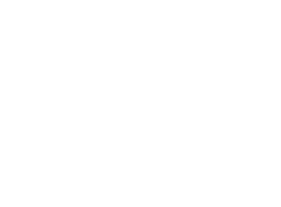 logo pontpont blanc